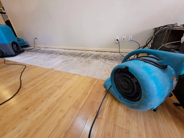 Professional Structural Drying technician working in Hallowell, ME